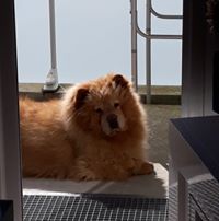 Lydie.blainville